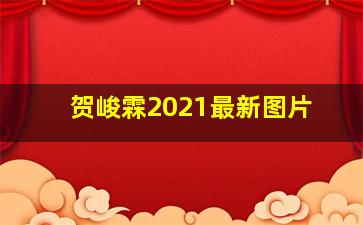 贺峻霖2021最新图片