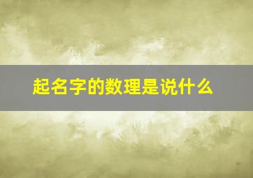 起名字的数理是说什么