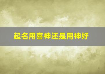 起名用喜神还是用神好