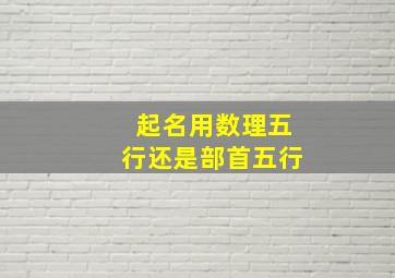 起名用数理五行还是部首五行