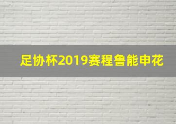 足协杯2019赛程鲁能申花