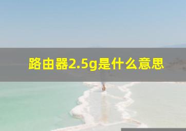 路由器2.5g是什么意思