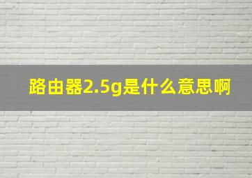 路由器2.5g是什么意思啊