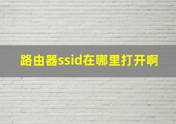 路由器ssid在哪里打开啊