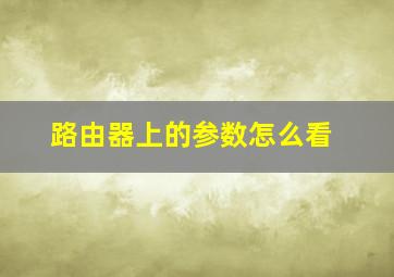 路由器上的参数怎么看