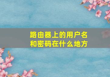 路由器上的用户名和密码在什么地方