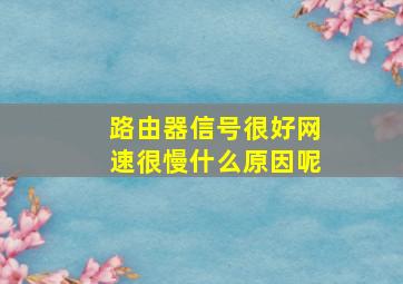 路由器信号很好网速很慢什么原因呢