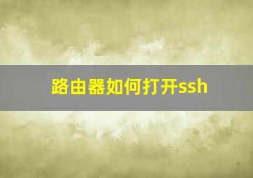 路由器如何打开ssh