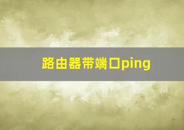 路由器带端口ping