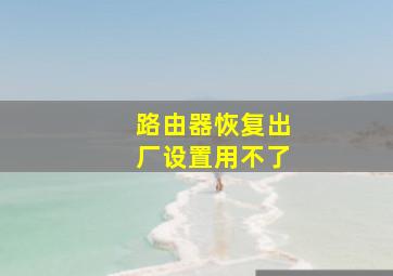 路由器恢复出厂设置用不了