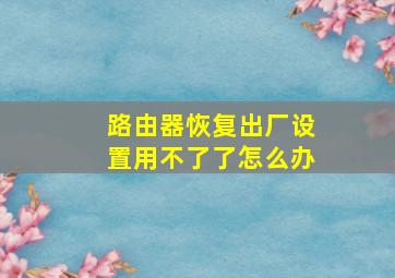 路由器恢复出厂设置用不了了怎么办