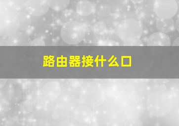 路由器接什么口