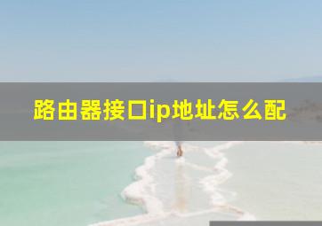 路由器接口ip地址怎么配