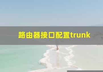 路由器接口配置trunk