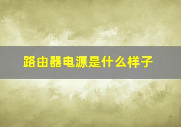 路由器电源是什么样子