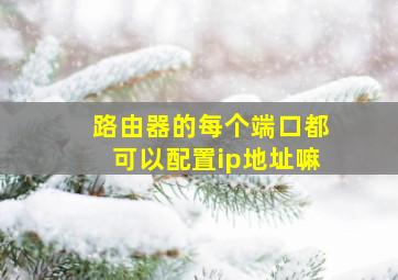 路由器的每个端口都可以配置ip地址嘛