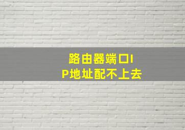 路由器端口IP地址配不上去