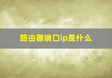 路由器端口ip是什么