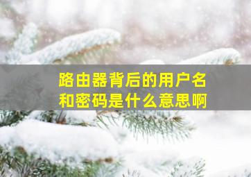 路由器背后的用户名和密码是什么意思啊