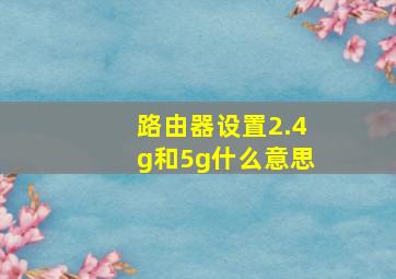 路由器设置2.4g和5g什么意思