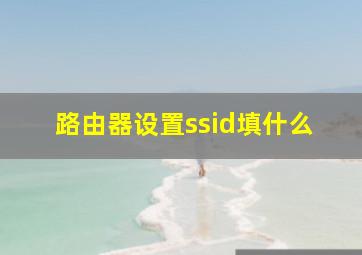 路由器设置ssid填什么