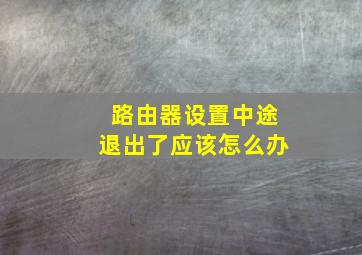 路由器设置中途退出了应该怎么办