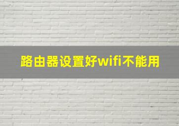 路由器设置好wifi不能用