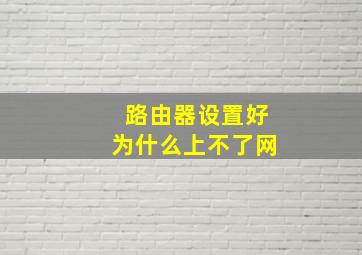 路由器设置好为什么上不了网