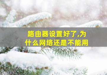 路由器设置好了,为什么网络还是不能用