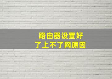 路由器设置好了上不了网原因