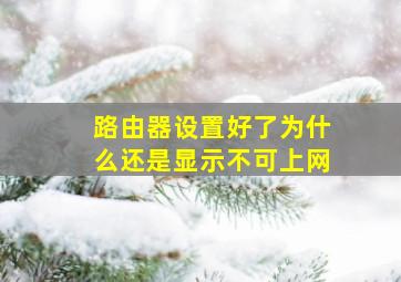 路由器设置好了为什么还是显示不可上网