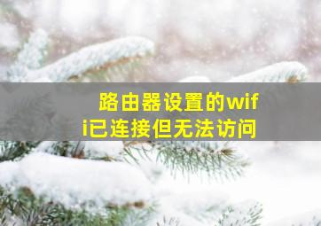 路由器设置的wifi已连接但无法访问