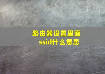 路由器设置里面ssid什么意思