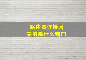 路由器连接网关的是什么端口