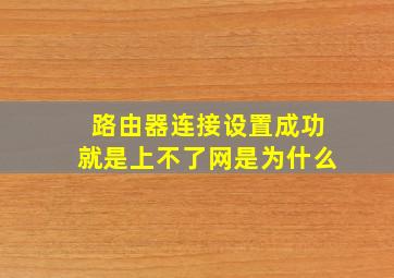 路由器连接设置成功就是上不了网是为什么