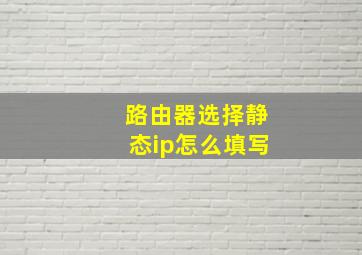 路由器选择静态ip怎么填写