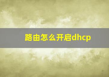 路由怎么开启dhcp