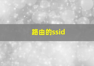 路由的ssid