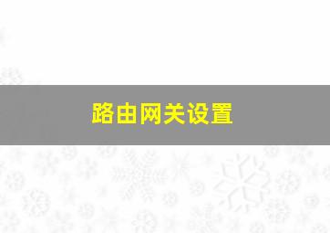 路由网关设置