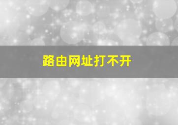 路由网址打不开