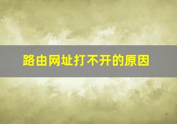 路由网址打不开的原因