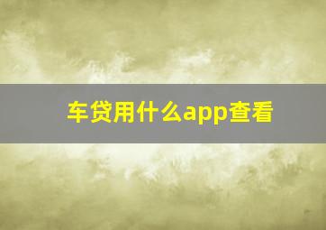 车贷用什么app查看