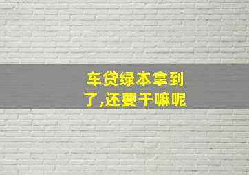 车贷绿本拿到了,还要干嘛呢