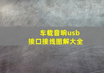 车载音响usb接口接线图解大全