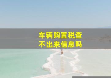 车辆购置税查不出来信息吗