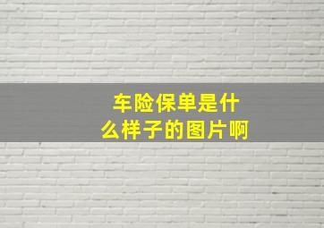 车险保单是什么样子的图片啊