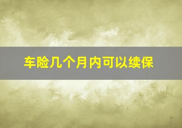 车险几个月内可以续保