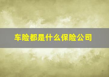 车险都是什么保险公司