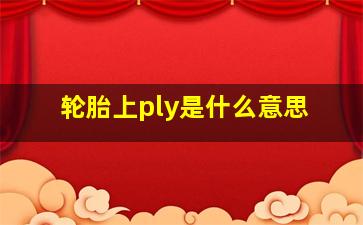 轮胎上ply是什么意思