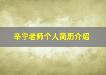 辛宁老师个人简历介绍